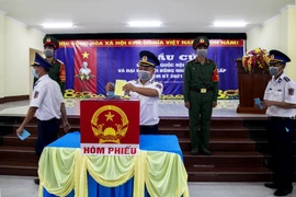 澳大利亚教授：选举活动是越南人民对各重大问题发出自己声音的机会