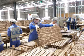 越瑞两国贸易发展空间广阔