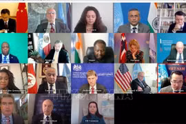 越南与联合国：联合国安理会重申加强反恐国际合作的必要性 