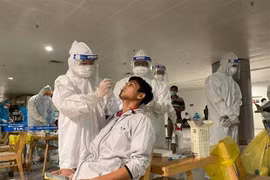 新冠肺炎疫情：新山一机场装卸理货员检出的病毒株首次在越南乃至东南亚出现