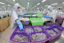  虾类产品加工业努力实现今年所提出的各项既定目标