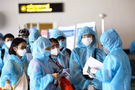 在符合国内外形势条件下制定将越南公民安全运送回国的计划