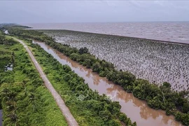 推动九龙江三角洲地区可持续发展和适应气候变化