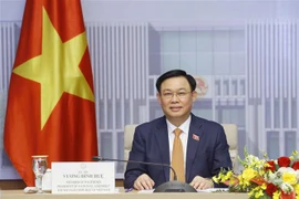 日本将继续向越南提供新冠疫苗援助