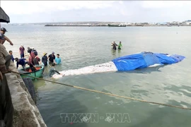 平顺省：一只长达15米的鲸鱼在海上死亡 渔民将其送上岸埋葬