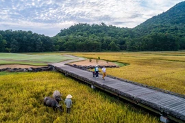 6.5世界环境日：坚持环保推动旅游业可持续发展