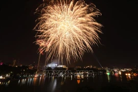 越南民众欢度元旦喜迎2021新年