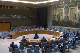 越南与联合国安理会：越南积极参加保护冲突热点地区人道主义援助人员保护