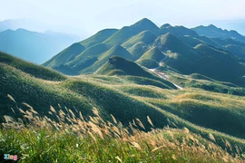 探索广宁省平辽边境地区的荒野之美 