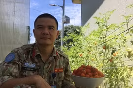 在南苏丹的军装“农民”