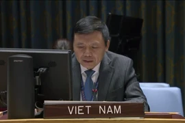 越南与联合国安理会：越南承诺促进联合国宪章和国际法的作用