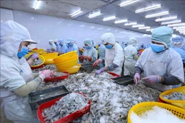 越南对俄罗斯的虾类出口额同比增长51%