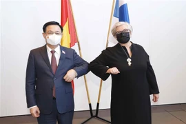 越南国会主席王廷惠与芬兰议会议长进行会谈