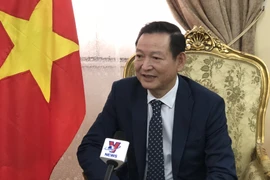 越共十三大：旅居埃及越南人对国家未来发展充满信心