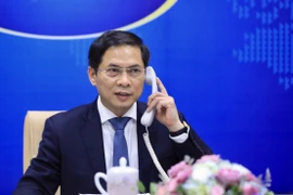 越南外交部部长裴青山与法国欧洲与外交部部长勒德里昂通电话