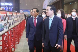 武文赏：大力促进整党建党工作 为专业、全面和现代的外交做出努力
