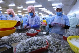 今年前10月农林水产品出口额同比增长13%以上