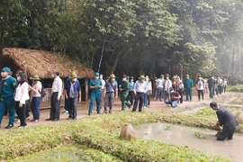 胡志明市举行寻根之旅活动 启动经济复苏计划