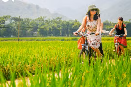 接种后旅游趋势：高消费、旅游时间长