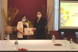 越南驻比利时大使鼓励在比利时越侨团结协作渡过疫情难关