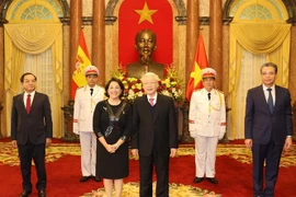 阮富仲接受外国新任驻越大使递交国书