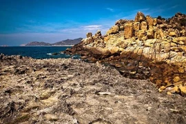 宁顺省主山生物圈保护区努力保护珍稀海龟