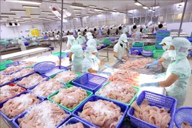 2021年第一季度越南水产品出口增长3%