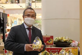越南香蕉开始在日本市场站稳脚跟