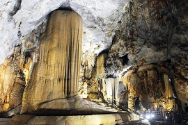 越南力争将生态旅游与生物多样性保护相结合