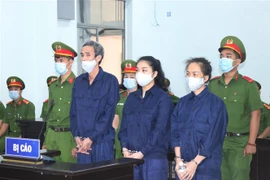 庆和省：对“传谣破坏国家”的3名分子判处5至9年有期徒刑