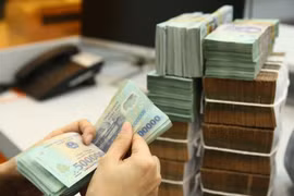 2021年前5月胡志明市财政预算收入同比增长22.8%