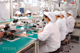 2021年前7个月越南手机及零配件出口额同比增长11.9%