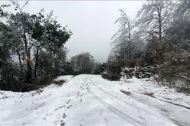 老街省出现雨雪天气