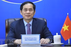 越南外交部长裴青山出席亚洲-非洲法律协商组织第59届会议