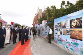 胡志明市举行“胡志明主席出国寻找救国之路”110周年纪念活动
