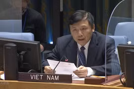 越南与联合国安理会：强化联合国与欧盟在应对全球性挑战中的合作