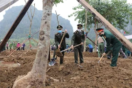 全国各省纷纷响应2021年春季植树节活动