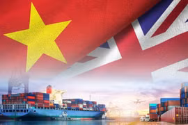 UKVFTA实施计划获批