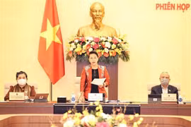  越南第十四届国会常务委员会第53次会议开幕