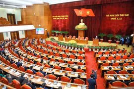 越共第十三届中央委员会第二次全体会议公报