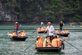 发展省内旅游