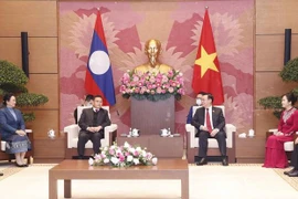越南国会主席王廷惠与老挝国会主席赛宋蓬·丰威汉举行会谈