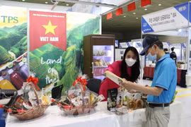 越南与韩国国际食品饮料展即将线上举行