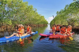 越南面向进入全球前50国旅游业竞争力名录