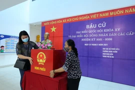 中国驻越大使高度评价越南选举筹备工作