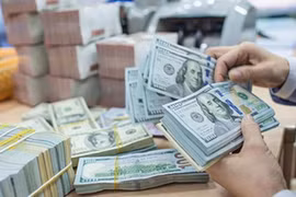 越南境外投资增长32.4%