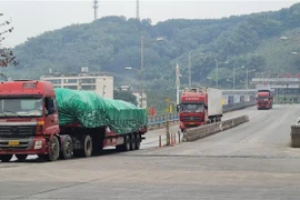 2021年伊始老街金城二号陆路国际口岸货物出口量达逾500吨