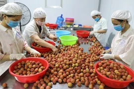 澳大利亚推动与越南的贸易交往
