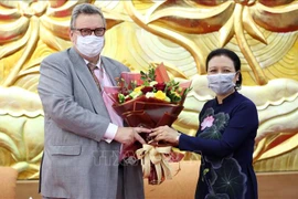 越南向芬兰驻越大使授予“致力于各民族和平友谊”纪念章