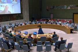 越南与联合国安理会：越南呼吁促进恢复巴勒斯坦问题谈判